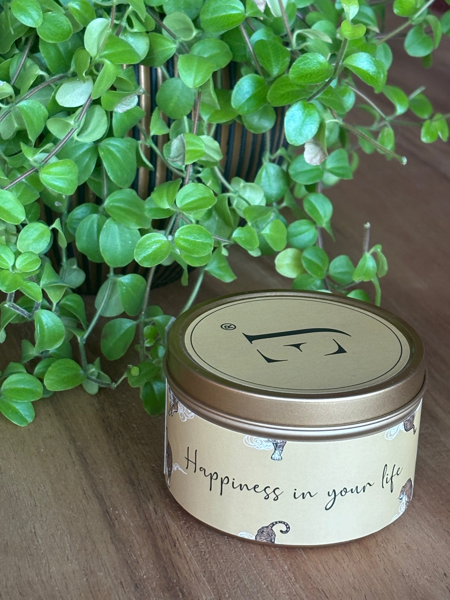 Quote kaars in gouden blik met kristallen - Happiness in your life